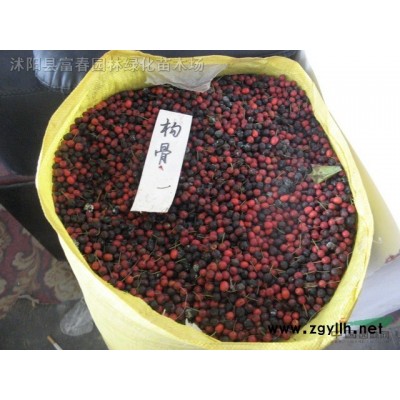 水上種植浮床 人工濕地生態浮床漂浮墊 抗風浪浮板水生植物浮床