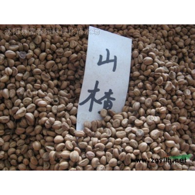 直銷園林景觀 可定制植物綠雕 立體花壇五色草造型