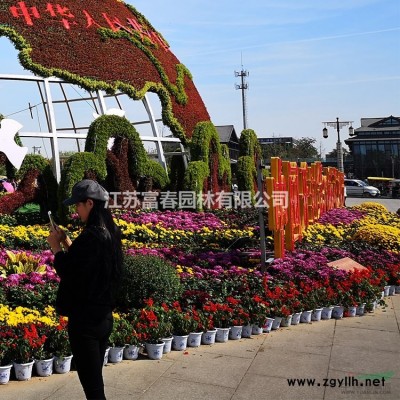 人工生態(tài)浮床_生態(tài)浮島及其設(shè)計(jì)詳解_沉水植物