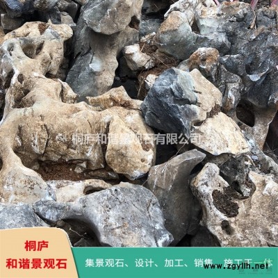 精品太湖石奇石原石草坪園林點(diǎn)石 T32