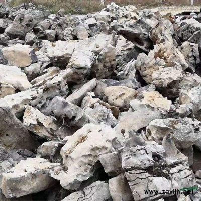 天然水沖石 大型卵石置石風景石 鵝卵石