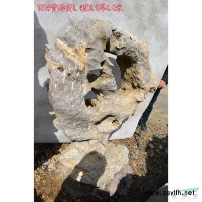 產(chǎn)地直銷優(yōu)質(zhì)大型太湖石點石窟窿石草坪點綴石 19#