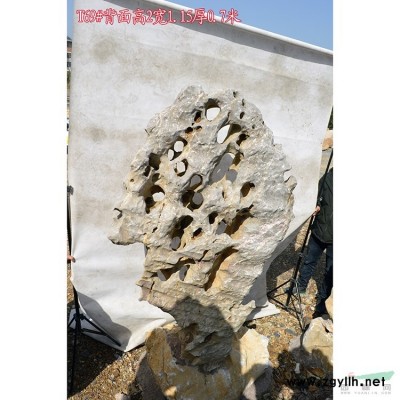 產(chǎn)地直銷優(yōu)質(zhì)大型太湖石點(diǎn)石 草坪點(diǎn)綴石 T34