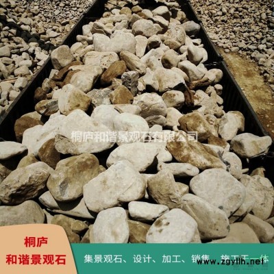 杭州太湖石點石奇石自銷 T10