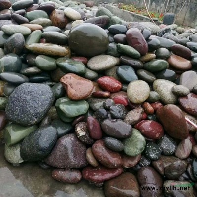 天然原石奇石景觀石庭院假山駁岸精品窟窿石 T37