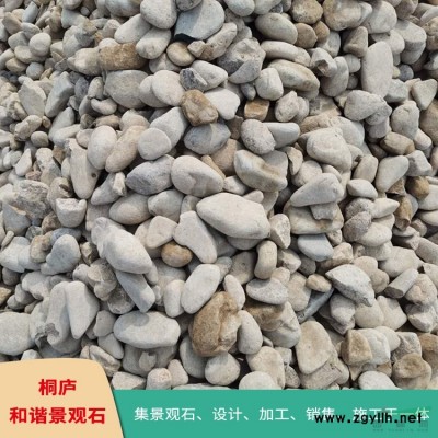 浙江太湖石基地 直銷景觀石 刻字石點石 T91