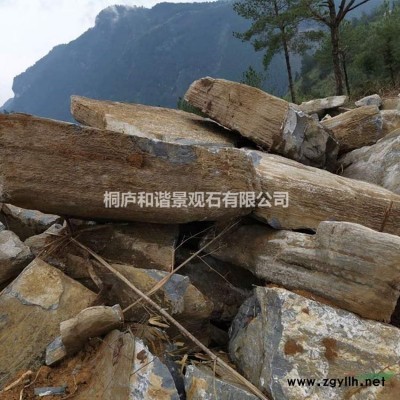 杭州園林石公司自產自銷黃石桐廬石景墻石