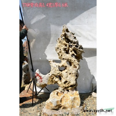 太湖石自然石奇石原石產地直銷