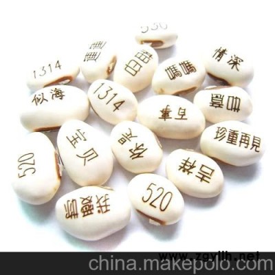 易拉罐魔豆，情侶魔豆,魔蛋，盆景,D8