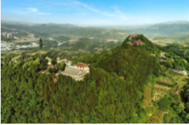 廣州天健天璽項目二期工程（多層住宅）大區園林景觀工程直接采購公告