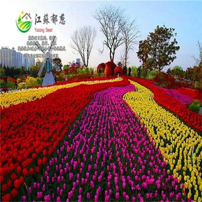 湖北省咸寧市花海項目規劃指導施工免費設計