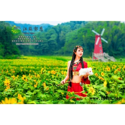 蝴蝶蘭種子種植技術(shù)方法...免費(fèi)試鐘