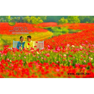 鳳仙花種子一般多少錢一斤...認(rèn)證企業(yè)