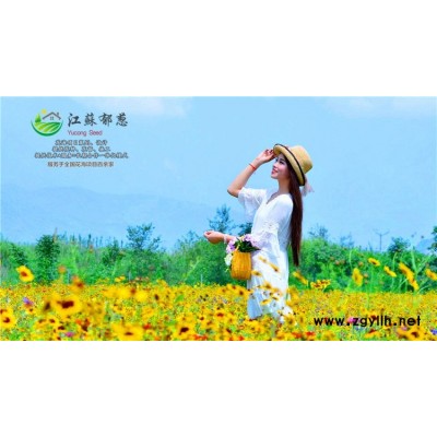 橄欖果種子種植技術方法...免費試鐘