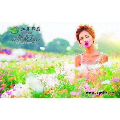 五彩石竹種子-辣木種子哪里有賣的-免費試鐘