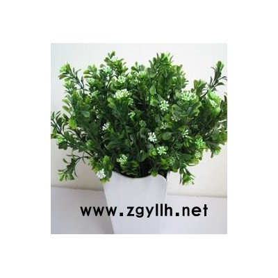 江漢寫字樓花卉租擺-眾芳園藝有限公司