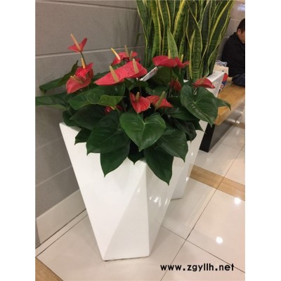 武漢眾芳園藝(多圖)-漢口寫字樓租花卉