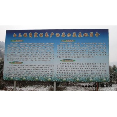 萍鄉油茶樹苗-白土鎮高產油茶苗圃1-大果高產油茶樹苗