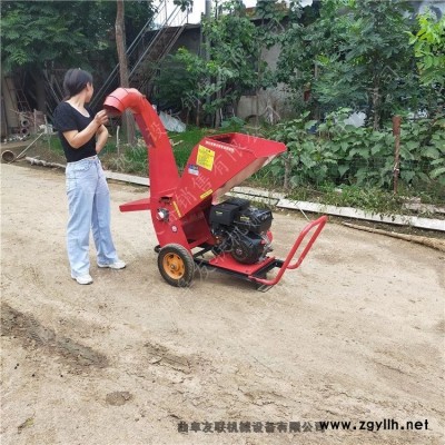 電動低噪音樹杈削片機 環保型植物垃圾粉碎處理機 干鮮枝條粉碎機廠家型號齊全1