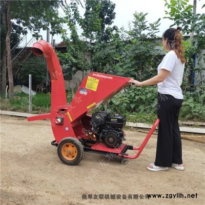 杭州熱銷(xiāo)茶園修剪雜枝粉碎機(jī) 果園枝條粉碎還田機(jī) 樹(shù)杈粉碎還田機(jī)廠家4