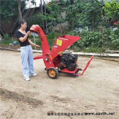 手推移動臥式小型樹枝粉碎機 環保型修剪樹杈粉碎機 廠家型號齊全1