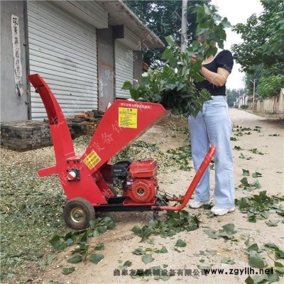 手推移動式樹杈粉碎機 苗圃園雜枝粉碎處理機 干鮮葡萄藤蔓削片機2