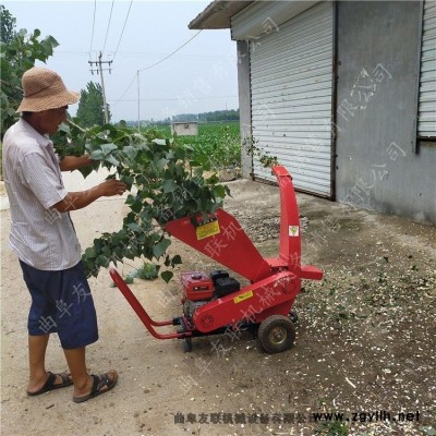 2020款移動(dòng)式碎枝機(jī) 園林綠化修剪樹(shù)枝破碎機(jī) 干鮮粉碎還田機(jī)促銷(xiāo)中4