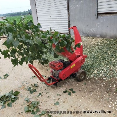 移動燃油式樹枝枯木粉碎機 雜草秸稈粉碎機 環(huán)保型園林樹枝粉碎機2