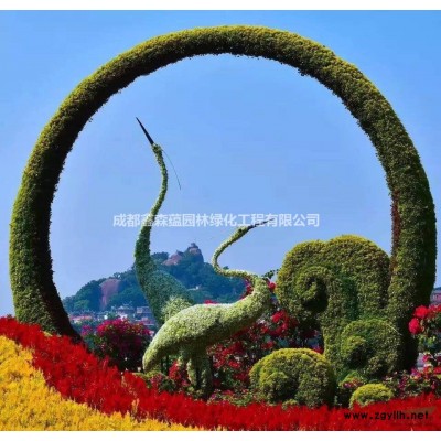 小葉楨楠批發價格 小葉楨楠容器苗 小葉楨楠基地