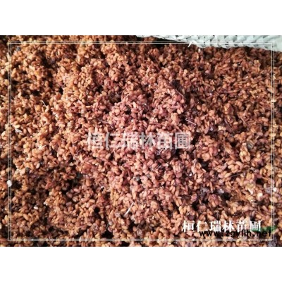遼寧椴樹(shù)苗，紫椴樹(shù)苗價(jià)格