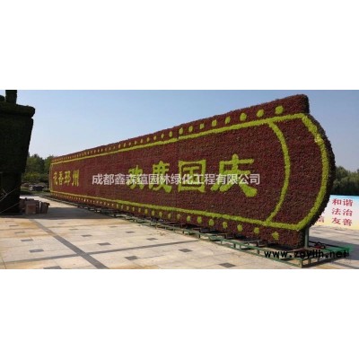 西洋鵑批發基地 種植西洋鵑小苗 西洋鵑基地