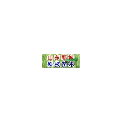 辛集40公分國槐價(jià)格